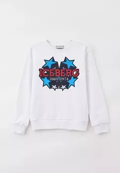 Свитшот Iceberg