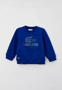 Свитшот Lacoste