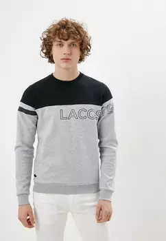 Свитшот Lacoste
