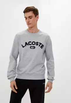 Свитшот Lacoste