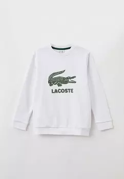 Свитшот Lacoste