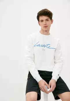 Свитшот Lacoste