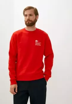 Свитшот Lacoste