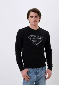 Свитшот Replay