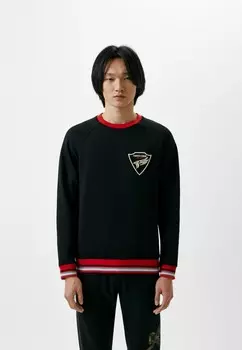 Свитшот Roberto Cavalli