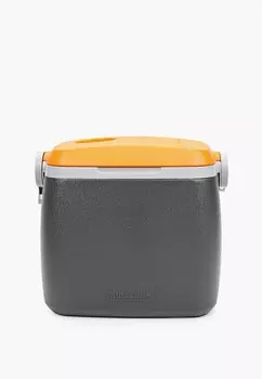 Термоконтейнер Biostal