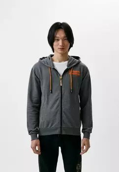 Толстовка Roberto Cavalli