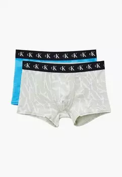 Трусы 2 шт. Calvin Klein