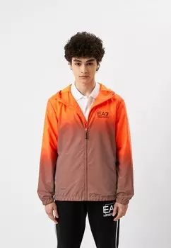 Ветровка EA7