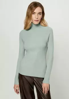 Водолазка Zarina