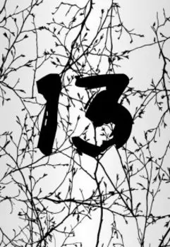 13