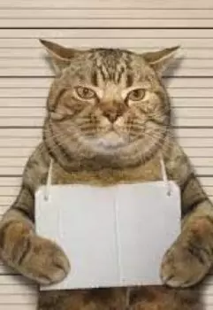 2-3 Восточная цивилизация