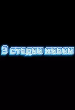 3 стадии жизни