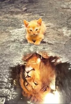 А как вам такая сказка?