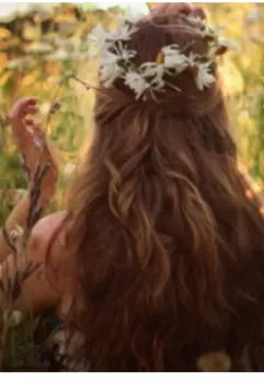 А правда ли драконы не летают?