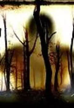 Абсолютно странная, и не совсем правдивая история.