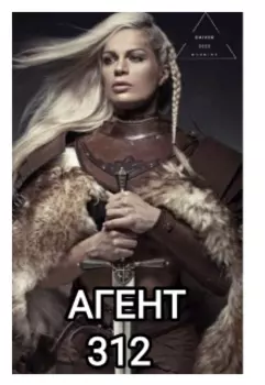 Агент 312