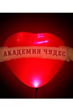 Академия чюдес