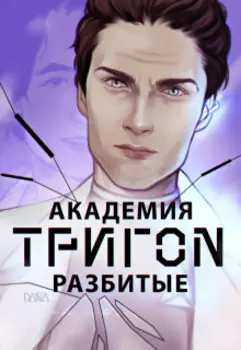 Академия Тригон. Разбитые