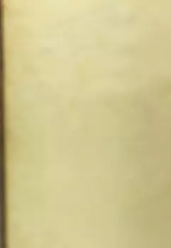 Академия универсалов. Зельем сыт не будешь