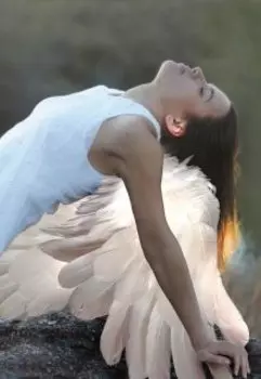 Академия Жемчужного Мира