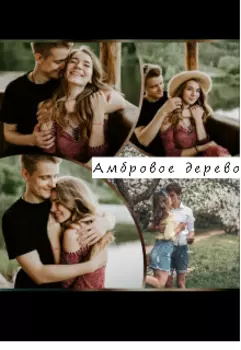 Амбровое дерево