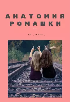 Анатомия ромашки