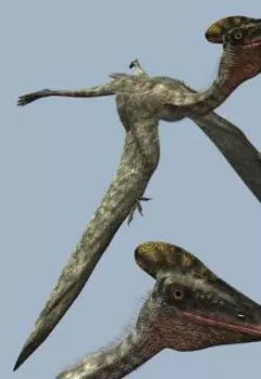 Андромеус: странник во времени