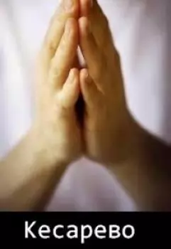 Анти-Б. Выпуск-25. Кесарево