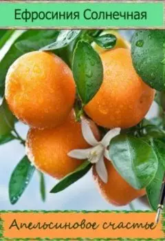 Апельсиновое счастье