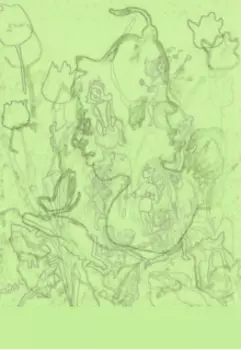 Апология Фей