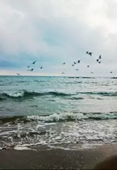 Аптечная девушка