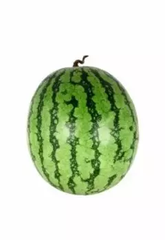 Арбузная охота