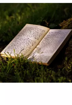 Артефакт в поисках хранителя