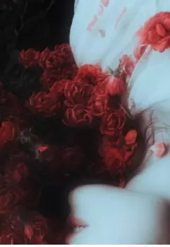 Астрея. Месть