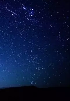 Авалон, обреченный выжить