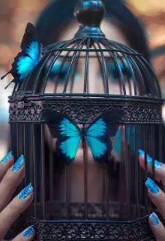 Бабочка взаперти