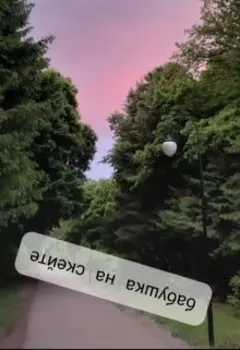 Бабушка на скейте