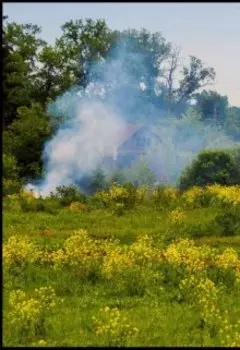 Бабушкины сказки.