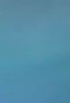 Байкеры: Бандитский разгул