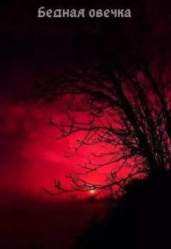 Бедная овечка