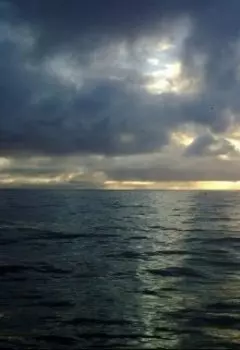 Белочка с "Дукатом"