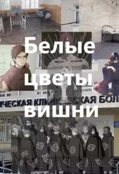 Белые цветы вишни