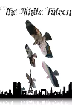 Белый сокол