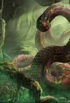 Берег надежды