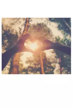 Берегись красотка