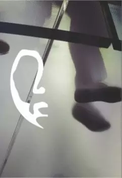 Беседа в ночи