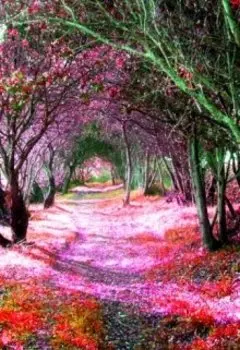 бешеные будни (история)