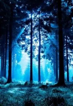 Беспощадная любовь