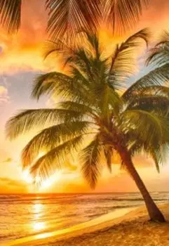 бессистемность мира